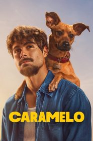 Yify Caramelo 2025