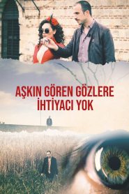 Yify Blind in Love 2017