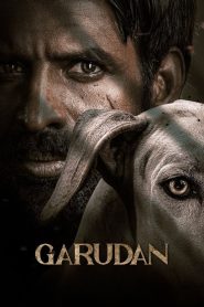Yify Garudan 2024