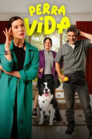 Yify Dog Life 2024