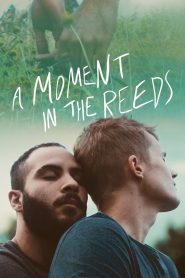 Yify A Moment in the Reeds 2018