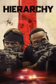 YTS Torrent Hierarchy 2025