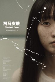 YTS Torrent Contact Lens 2024