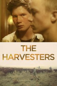 Yify The Harvesters 2018