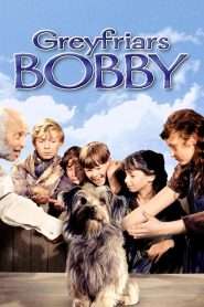 Yify Greyfriars Bobby 1961