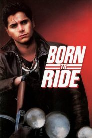 Yify Born to Ride 1991