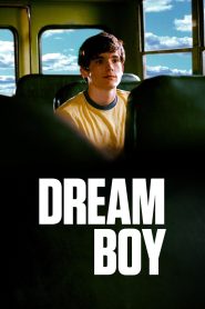 Yify Dream Boy 2008