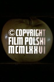 YTS Torrent Copyright Film Polski MCMLXXVI 1977