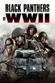 YTS Torrent Black Panthers of WWII 2025