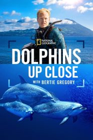 YTS Torrent Dolphins Up Close with Bertie Gregory 2025