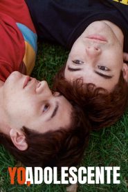 YTS Torrent Memories of a Teenager 2019