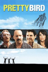 YTS Torrent Pretty Bird 2008