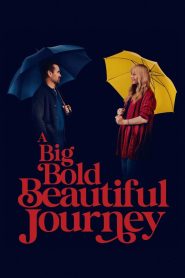 YTS Torrent A Big Bold Beautiful Journey 2025