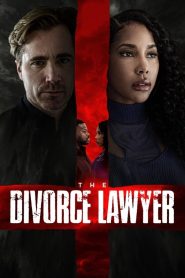 YTS Torrent The Divorce Lawyer 2025