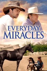 YTS Torrent Everyday Miracles 2015