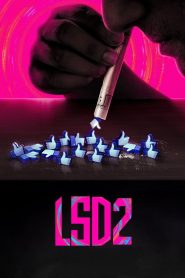 Yify LSD 2: Love, Sex aur Dhokha 2 2024
